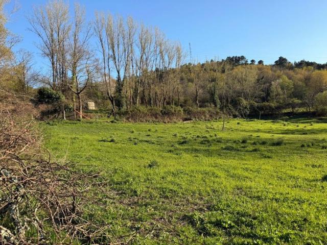 Terreno venda em Baião, Porto