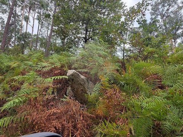 Terreno venda em Fornelos, Arcozelo