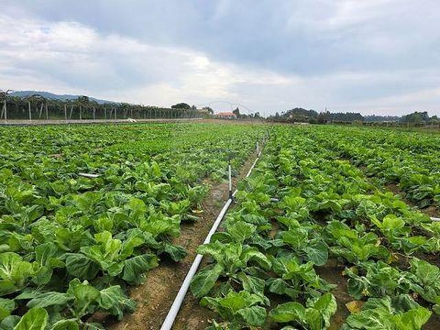Terreno venda em Fornelos, Arcozelo