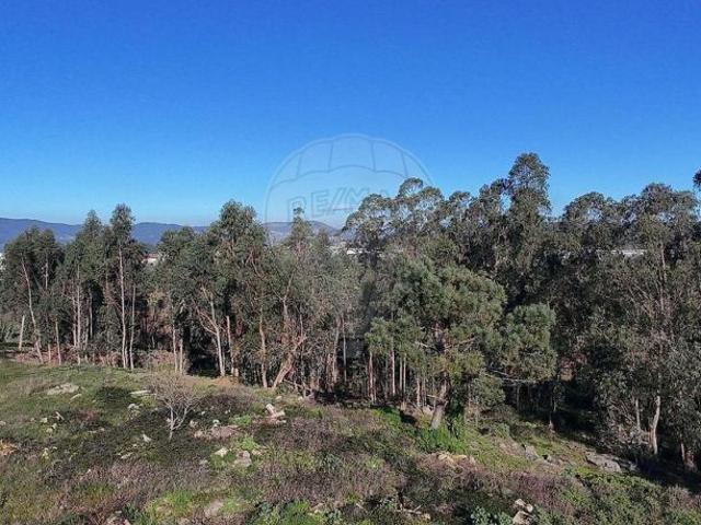Terreno venda em Martim de Além, Arcozelo