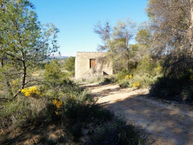 Terreno en venta en Terra Alta, Catalunya