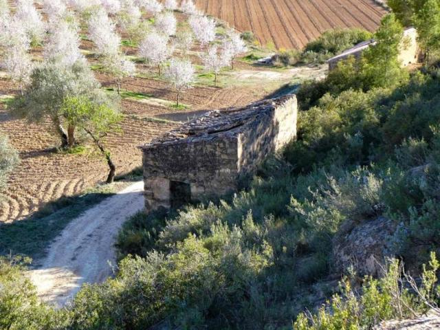 Terreno en venta en Terra Alta, Catalunya