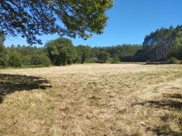 Terreno en venta en Baldomar, Terra Chá