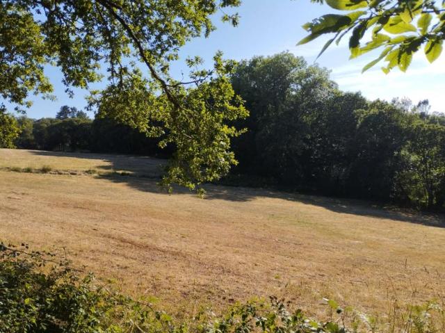 Terreno en venta en Baldomar, Terra Chá