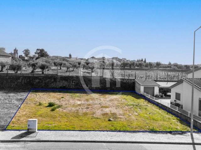 Terreno venda em Castelo Branco