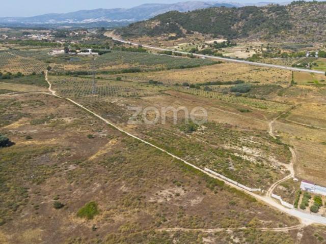 Terreno venda em Belmonte