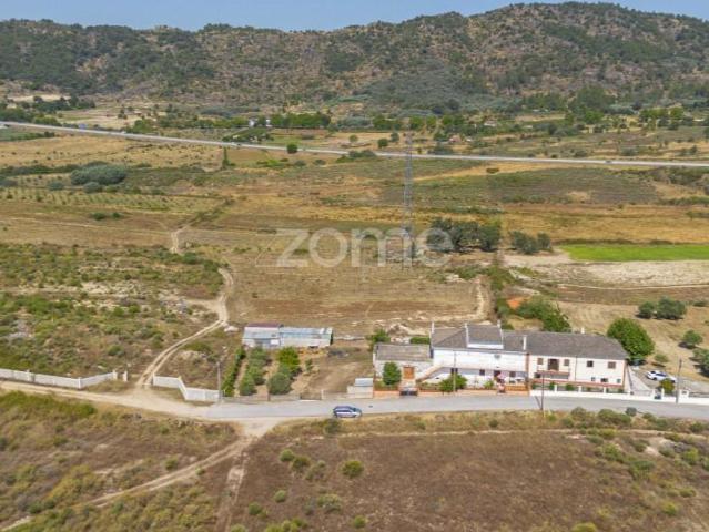 Terreno venda em Castelo Branco