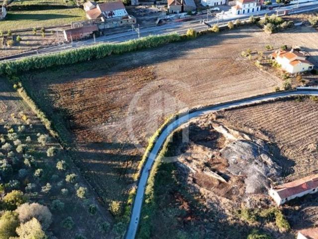 Terreno venda em Castelo Branco