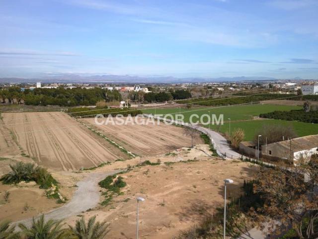 Terreno en venta en Benijófar
