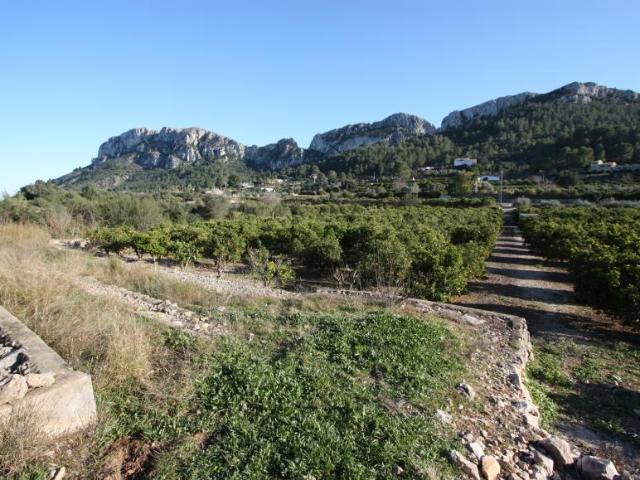 Terreno en venta en la Marina Alta, Valencia