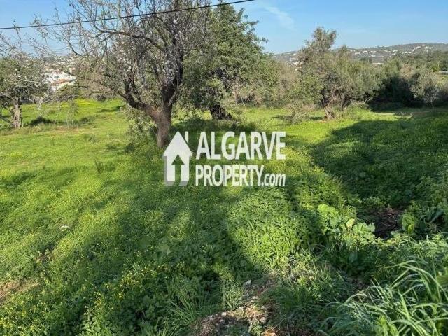 Terreno venda em Loulé, Faro