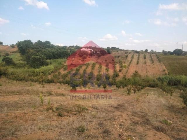 Terreno venda em Rossio do Carvalhal, Bombarral