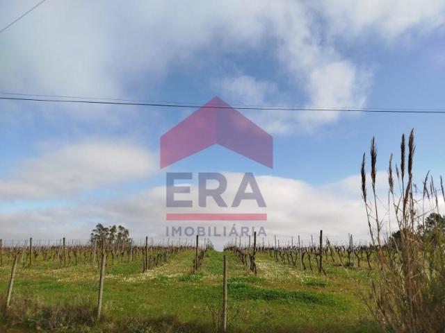 Terreno venda em Bombarral, Leiria