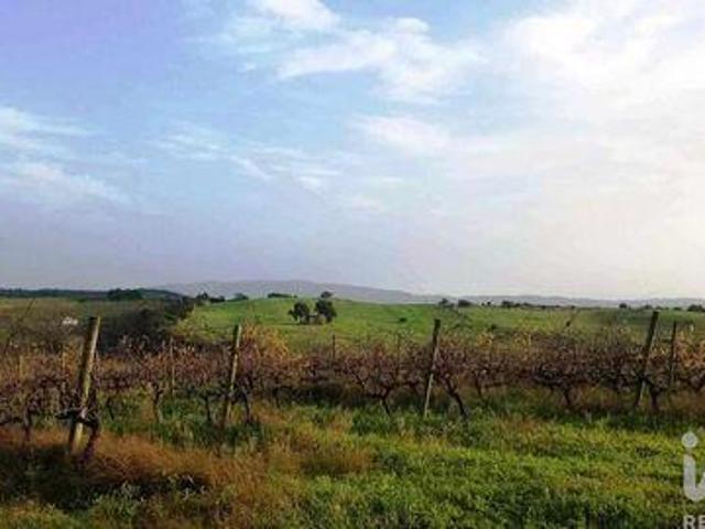 Terreno venda em Saimouca, Bombarral