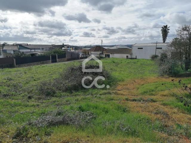 Terreno venda em Bombarral, Leiria