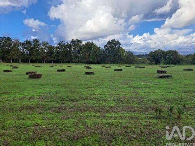Terreno venda em Palmeira, Braga