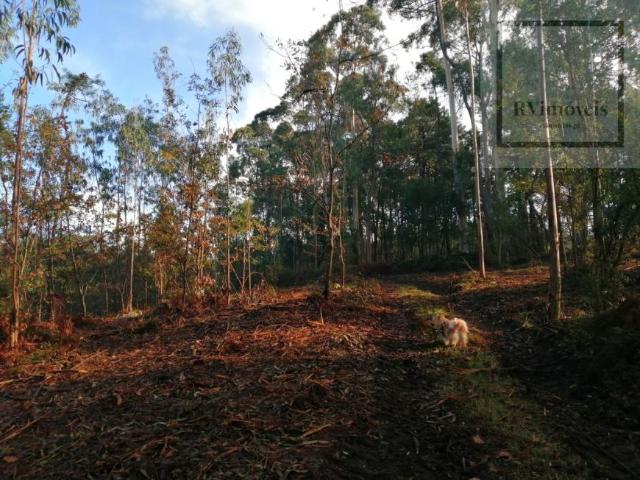 Terreno venda em Esposende, Braga