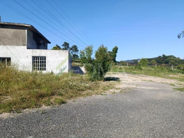 Terreno alugar em Oliveira (Santa Maria), Gavião