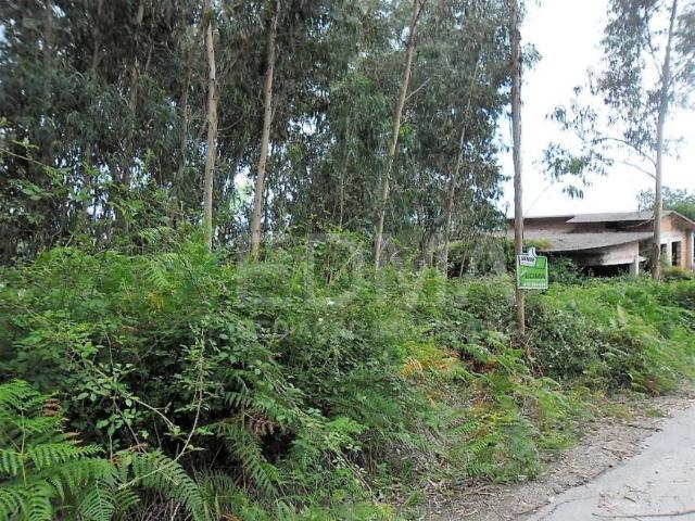 Terreno venda em Gavião, Braga