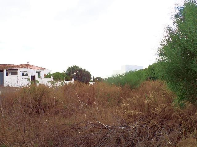 Terreno en venta en Sotogrande, Campo de Gibraltar