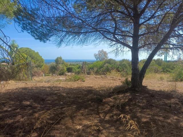 Terreno en venta en Sotogrande, Campo de Gibraltar