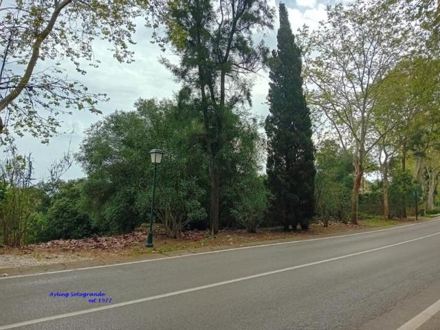 Terreno en venta en Sotogrande, Campo de Gibraltar