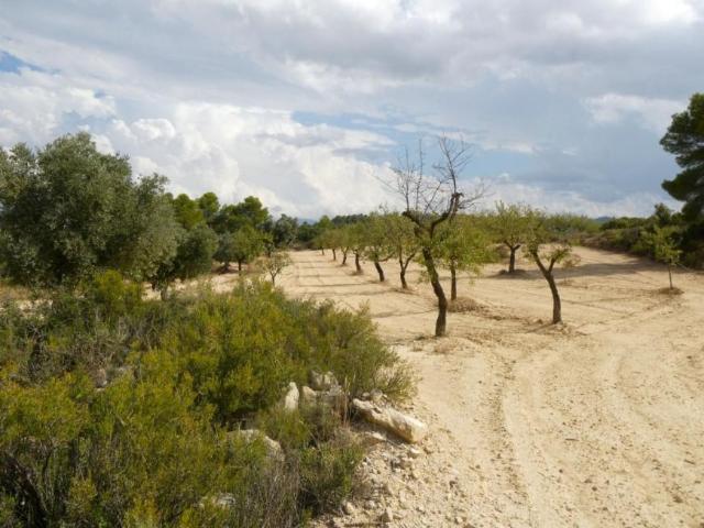 Terreno en venta en Matarraña / Matarranya, Calaceite