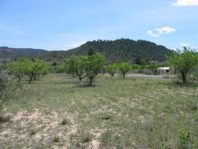 Terreno en venta en Huerta del Rincon de Seca, Murcia