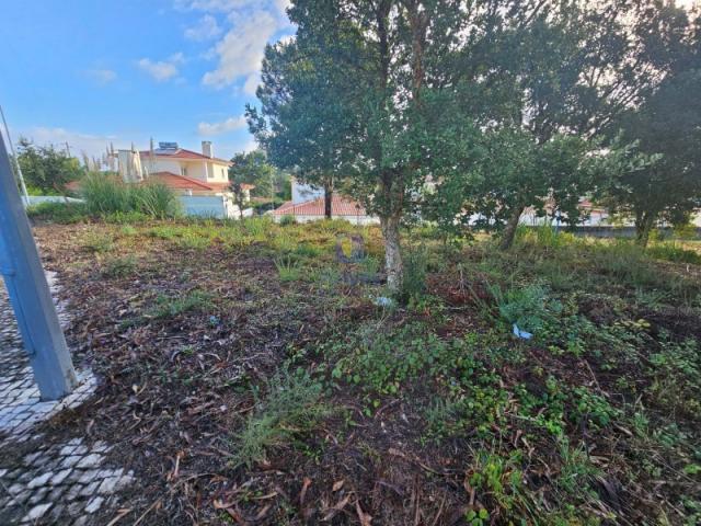 Terreno venda em Caldas Da Rainha, Leiria
