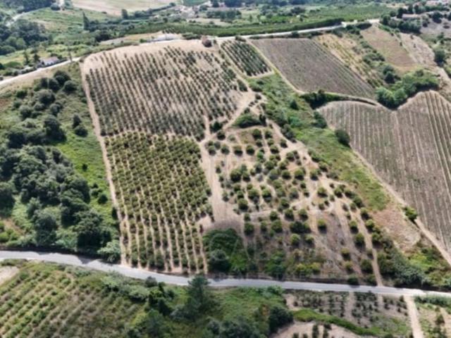 Terreno venda em Caldas Da Rainha, Leiria