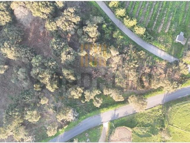 Terreno venda em Caldas Da Rainha, Leiria
