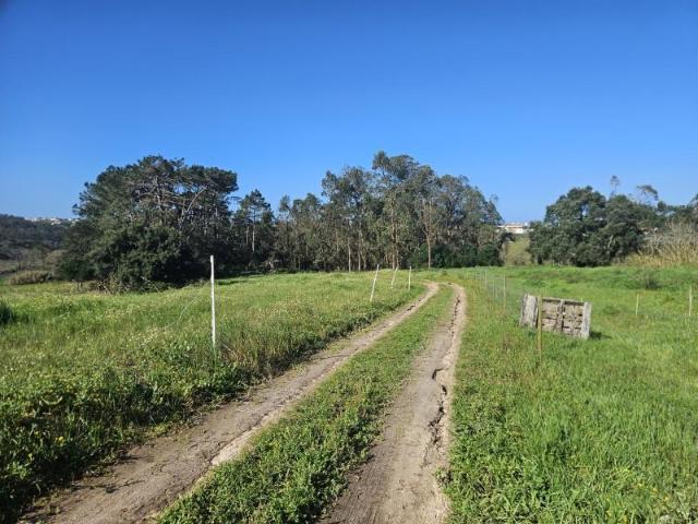 Terreno venda em Caldas Da Rainha, Leiria