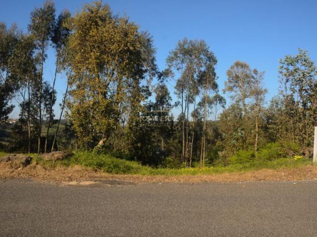 Terreno venda em Caldas Da Rainha, Leiria