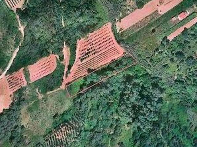 Terreno venda em Carvalhal Benfeito, Caldas Da Rainha