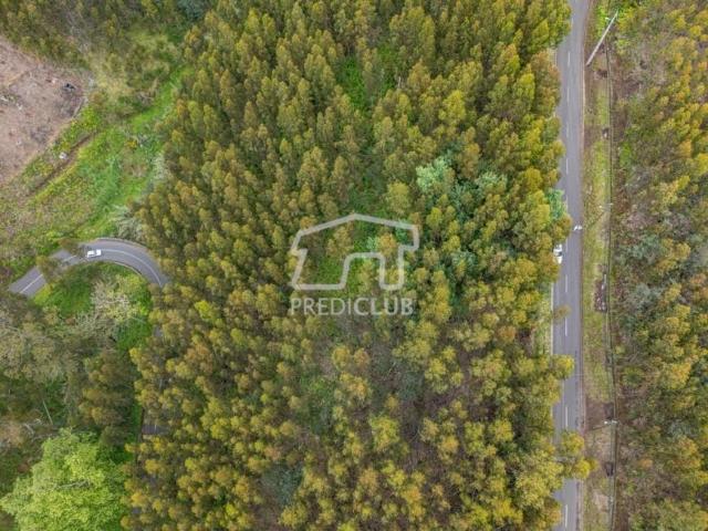 Terreno venda em Calheta