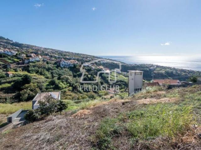 Terreno venda em Pombal, Leiria