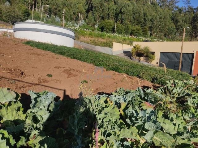 Terreno venda em Pombal, Leiria
