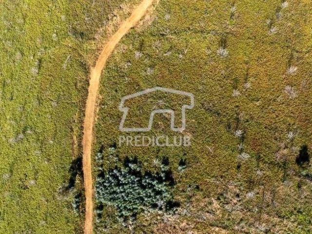 Terreno venda em Pombal, Leiria