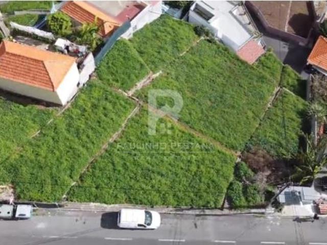 Terreno venda em Câmara De Lobos Terreno venda em Câmara De Lobos