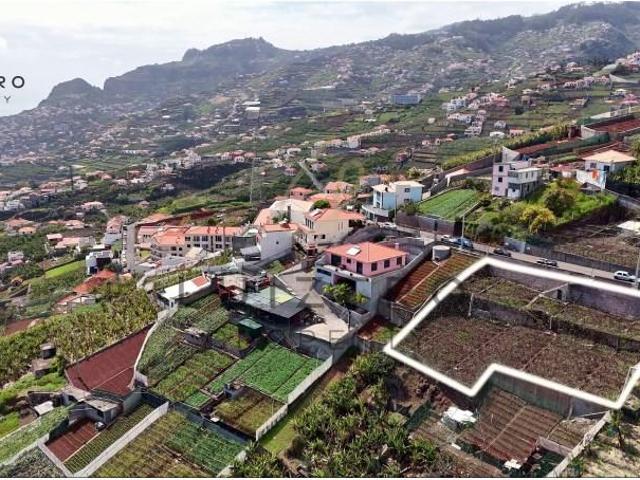 Terreno venda em Câmara De Lobos