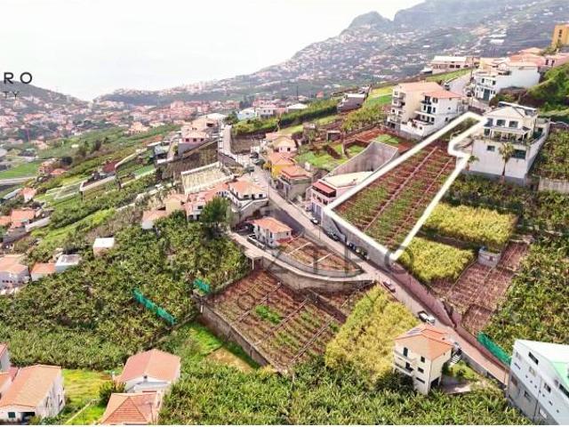 Terreno venda em Câmara De Lobos