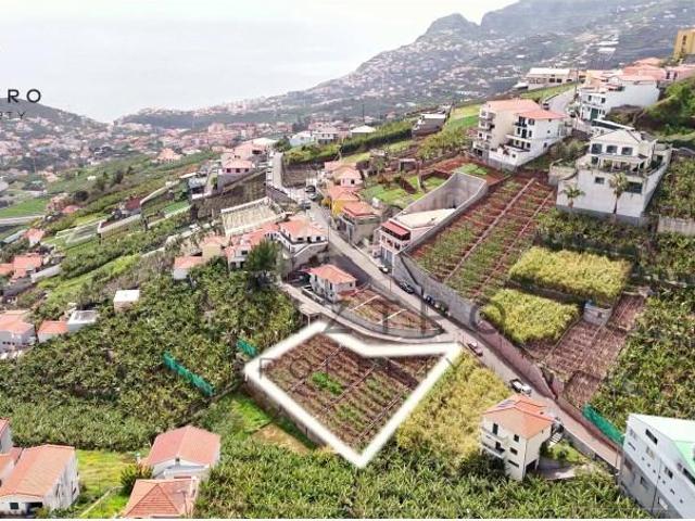 Terreno venda em Câmara De Lobos
