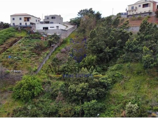 Terreno venda em Câmara De Lobos
