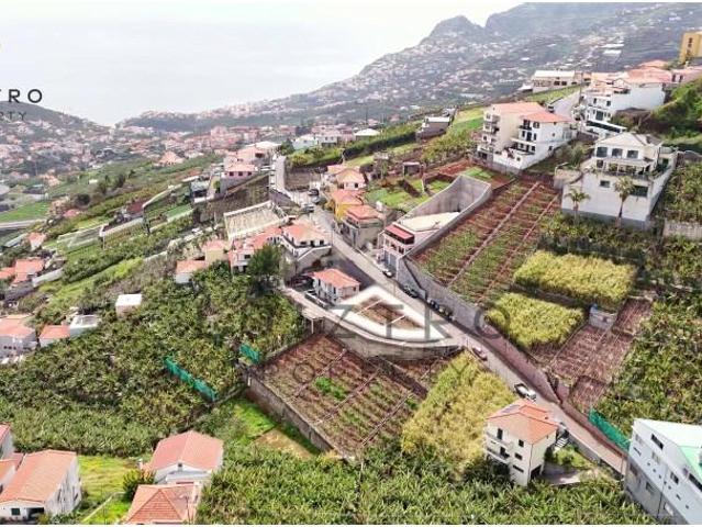 Terreno venda em Câmara De Lobos