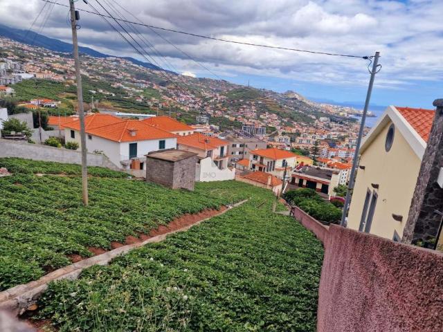 Terreno venda em Câmara De Lobos