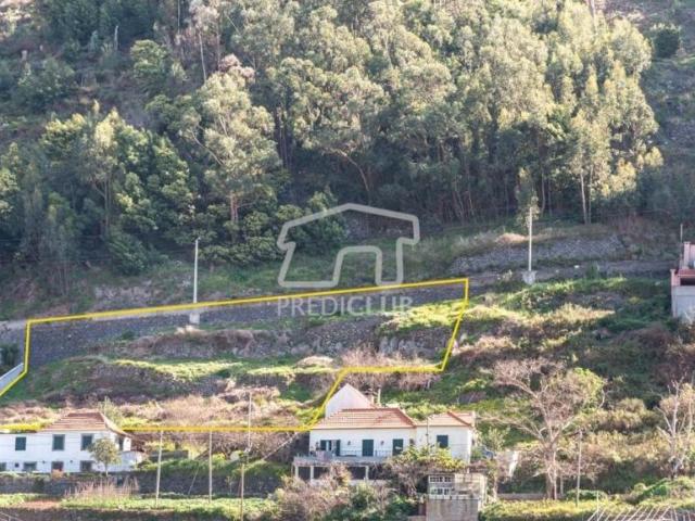Terreno venda em Câmara De Lobos Terreno venda em Câmara De Lobos