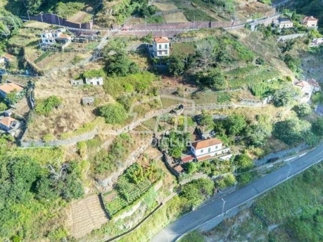 Terreno venda em Câmara De Lobos Terreno venda em Câmara De Lobos