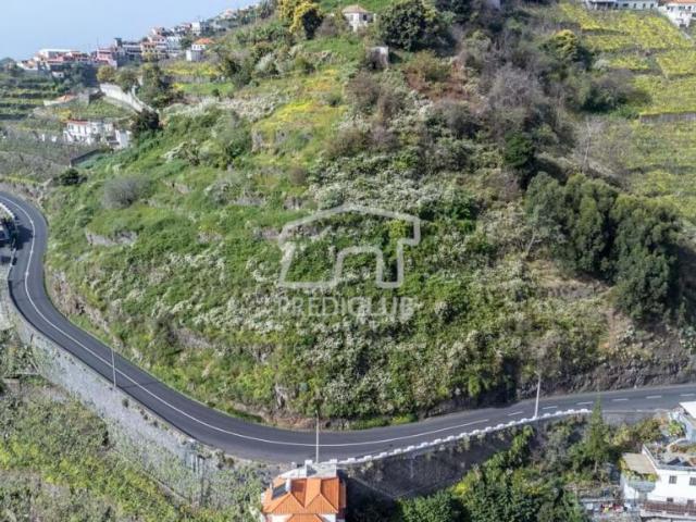 Terreno venda em Câmara De Lobos Terreno venda em Câmara De Lobos