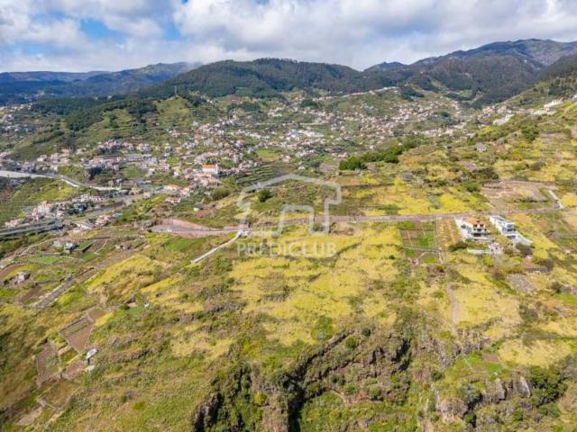 Terreno venda em Câmara De Lobos Terreno venda em Câmara De Lobos