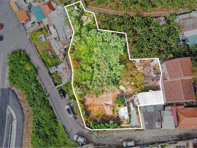 Terreno venda em Câmara De Lobos